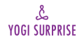 Yogi Surprise US