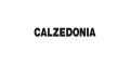 Calzedonia BR